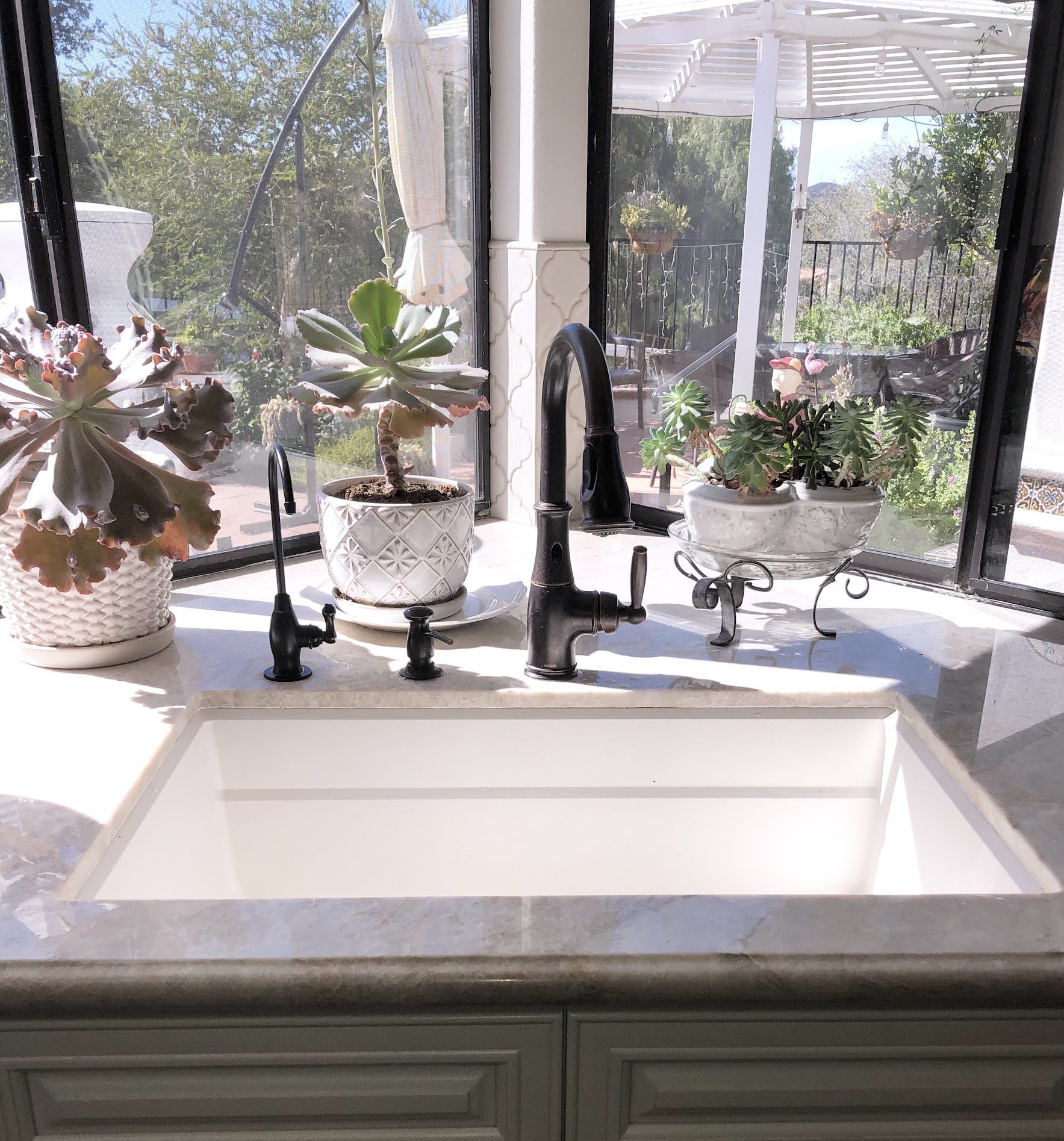 Bright kitchen sink area with plants and a modern faucet by large windows.